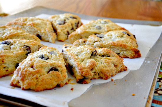 thecakebar:  Orange Chocolate Chip Scones 