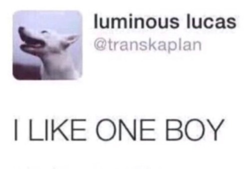 regulardecoratedemergency: I’m going to piledrive this meme into the ground