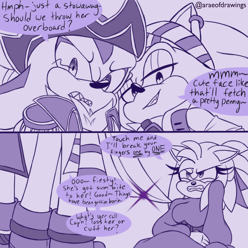 if shadow is the captain and sonic is the first mate, then Amy is the runaway who becomes their bard