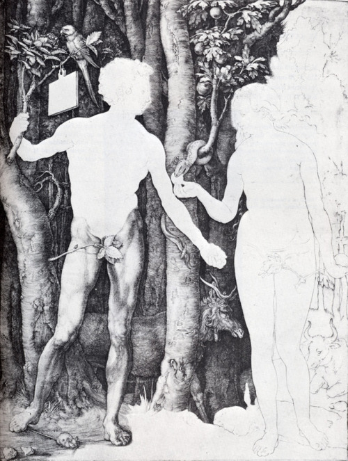 XXX artist-durer:  Adam And Eve, Albrecht DurerMedium: photo