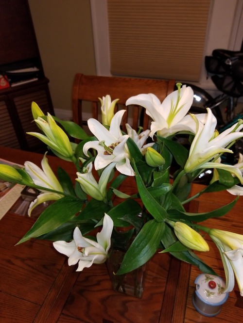 Lilies from Daddy! They smell divine! 😍