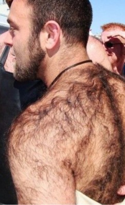 Hairy Men Heaven