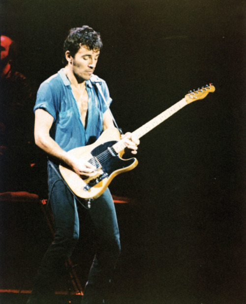 thewildandthedarkness:Bruce 