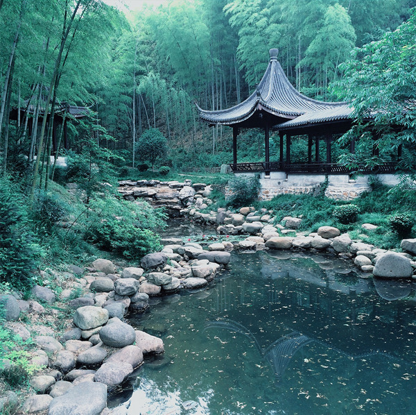 宜兴竹海Bamboo forest, Yixing, China by 梅鹿君