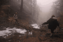 naturepunk:  Looking through old photos and making them into GIFs for fun.  