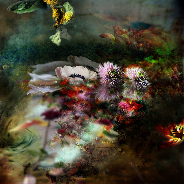 crossconnectmag:  A discussion with digital photographer Isabelle Menin by imaginarium