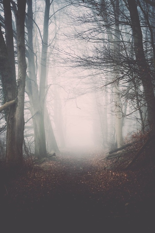 0rient-express:  Fog | by Henrik Hansen | Website.