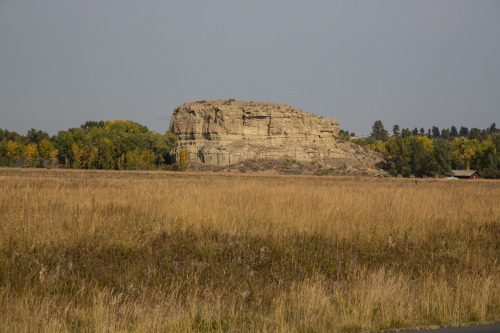 mypubliclands:Trivia Tuesday from BLM MontanaPompeys Pillar National Monument is home to Captain Wil