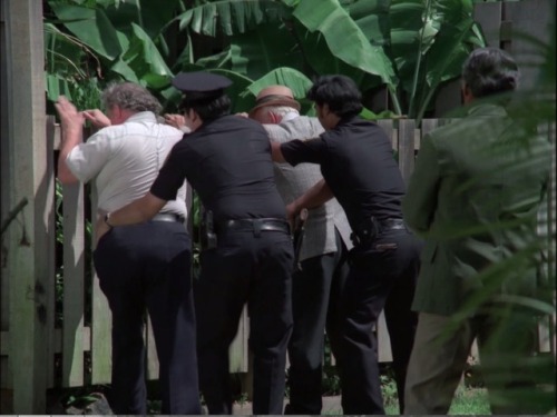 Hawaii Five-O (TV Series) - S8/E9 ’Retire in Sunny Hawaii… Forever’ (1975)Charles Durning as 