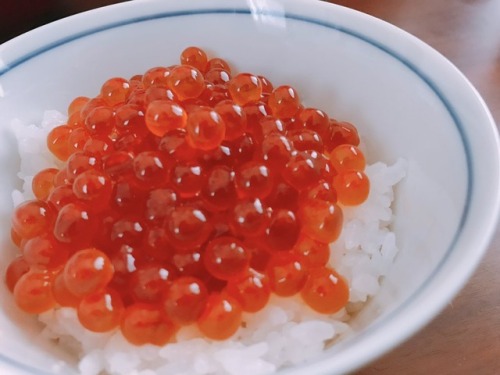 村雲颯香さんのツイート: 今日の始まりは、日陽の家のいくらご飯でした 昨日買っておいたハーゲンダッツをデザートにして、朝(昼)から贅沢した☺️ #もふ飯っ t.co/XssH2d0uH