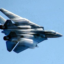 i-love-jet-noise:  F-14