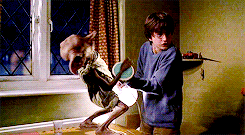 halphalp:  gifharrypotter: Harry Potter and the Deathly Hallows - parallels   Oh