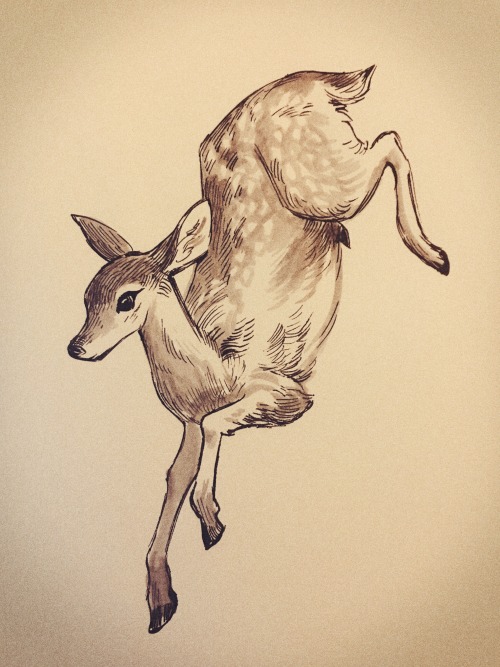 bevsi:some animals for Inktober ~