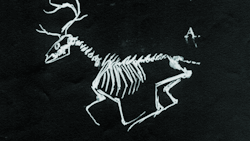 hushaby:  Cup3Tint3: good night skeletons &amp; skulls! 