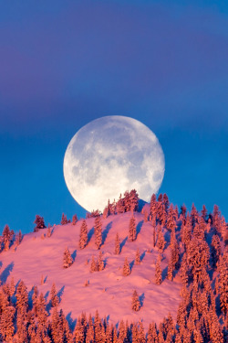 lsleofskye:Sierra Winter MoonSetting