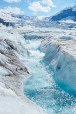 tulipnight:  Athabasca Glacier by Marc-Antoine Bolduc 