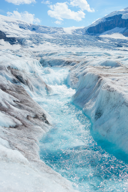 tulipnight:
“ Athabasca Glacier by Marc-Antoine Bolduc
”