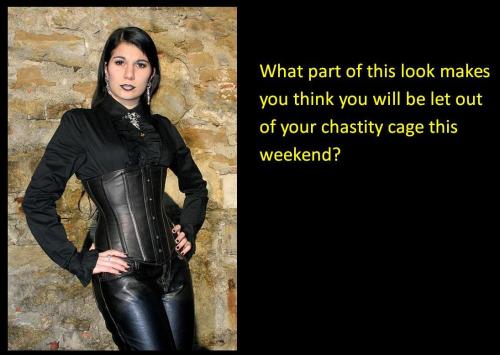 What part of this look makes you think you will be let out of your chastity cage this weekend?