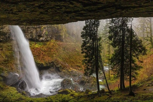 Photo from @dlandersonphotography - Silver Falls State Park - Image selected by @ericmuhr - Join us 