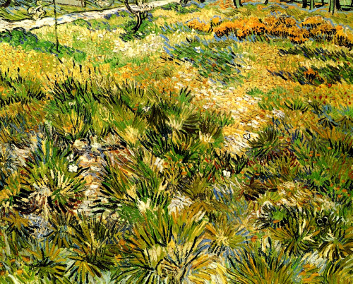 artist-vangogh: Meadow in the Garden of Saint-Paul Hospital, 1890, Vincent van GoghMedium: oil,canva