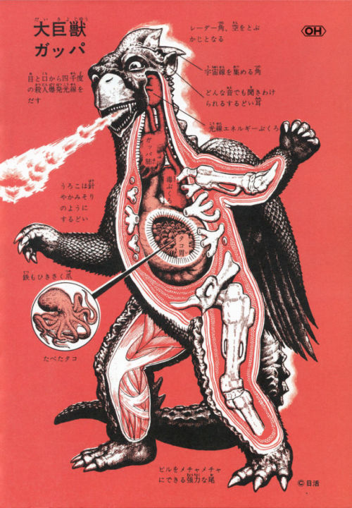 Shoij Otomo and Shogo EndoAn Anatomical Guide to Monsters: Gamera, Godzilla, Gappa, Mothra Larva, An