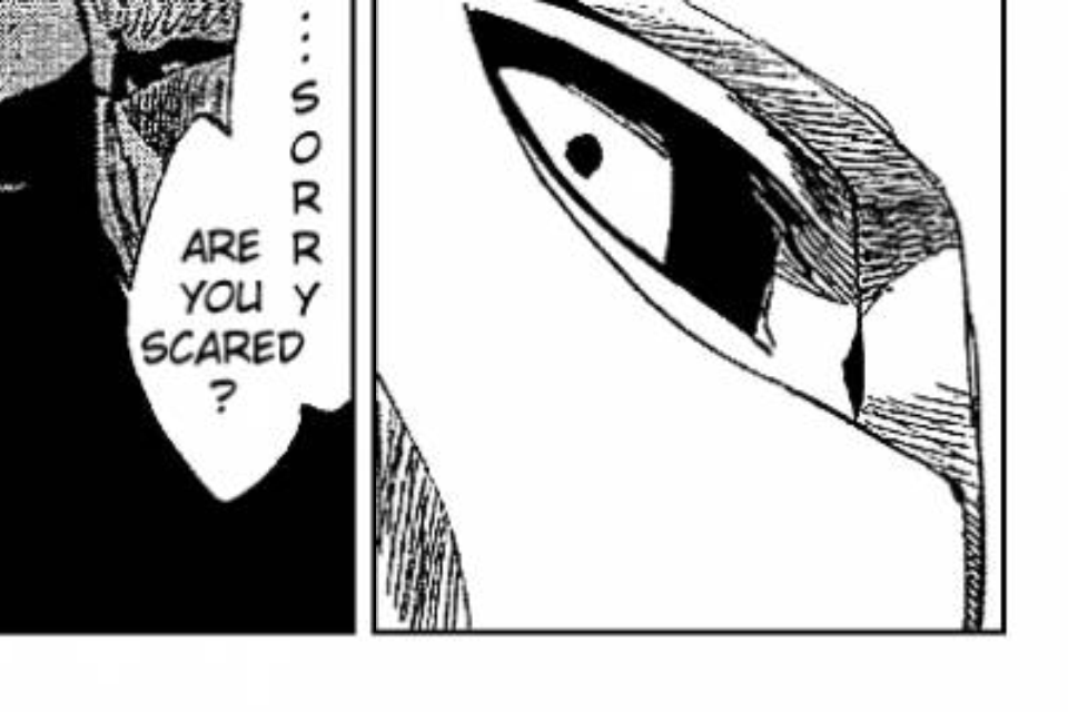 ichihime7-7:  READ THIS AND TELL ME HE WASN’T ALREADY IN LOVE WITH HER!!!!! 