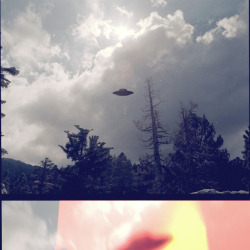 nevver:  I want to believe leave