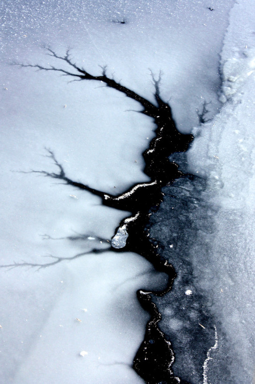 imalikshake: Icewater Running through these Veins By Lynelle