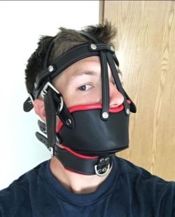 chastiyboi654321:I think I need this muzzle