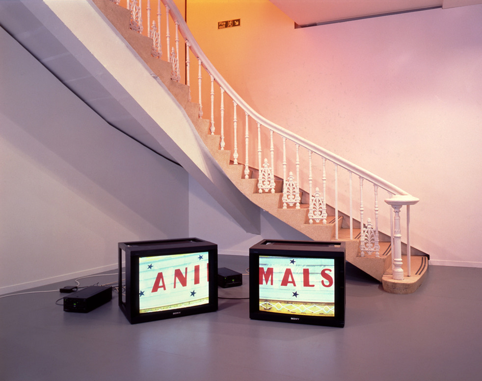 likeafieldmouse:   Diana Thater - A Series of Events (2003) 