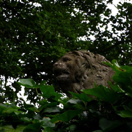 yorksnapshots: Enter the Forbidden Corner, North Yorkshire, England.A few oddments from last years v