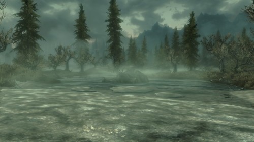 skyrim-photography:  Marshes Near Morthal- Skyrim-Photography  Requested by: thementorking