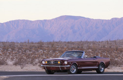 ford-mustang-generation:  1965 Ford Mustang K-Code by El Ovalo Azul on Flickr.