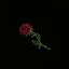 satinrosesandvelvetviolets