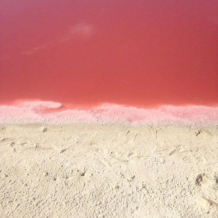 lesbian-lily:  fatbengal:  bobbycaputo:    Naturally Pink Lagoon in Mexico Is Like