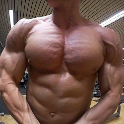 nicephysiques:  David Lengauer