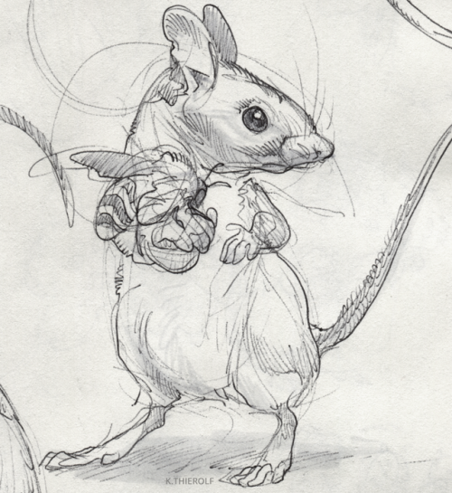 Some quick mouse form/anatomy practice- gave ‘em BEES.Definitely more to come. 8)  Ballpoint pen and