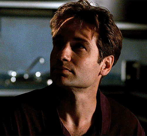 sarahmichellesgellar:DAVID DUCHOVNY as FOX MULDERThe X Files | 1.10 Fallen Angel