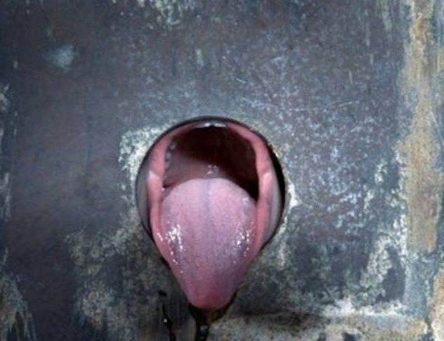 realmenstink:  ratedxinsf:  Ready, willing and able!  INSERT HUGE COCK AND PUSH !!!