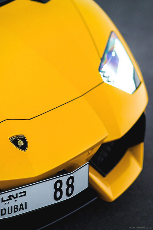 watchanish:  Alyaquob88’s Lamborghini Aventador shot by Alex.Read the full article on WatchAnish.com. 