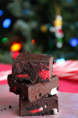 veganinspo:  Vegan Candy Cane Oreo Fudge