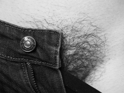 The Fleshy Bits