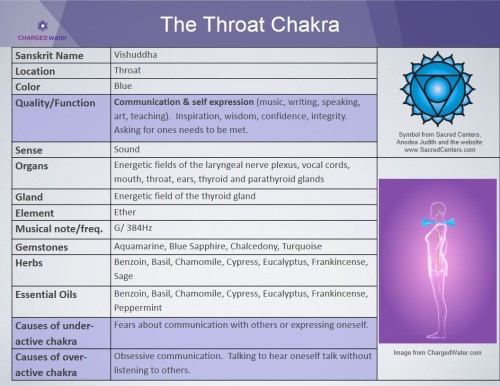 metanoia-world:  Major Chakras   A chakra is an spinning energy center that manages the flow of life force energy (also called prana or chi) that gives life to our physical, mental, emotional and spiritual state.  They are energetic organs, not physical