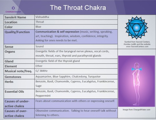 XXX metanoia-world:  Major Chakras   A chakra photo