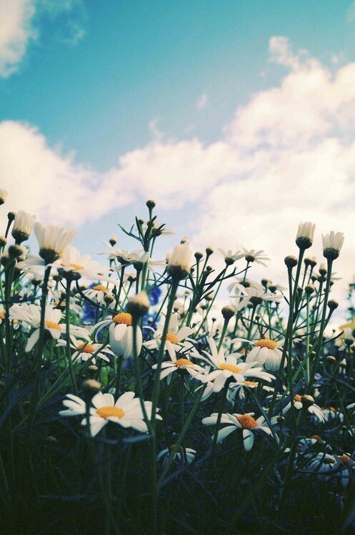 Time waits for no one