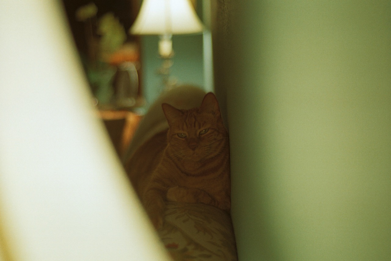 really-shit:  Photographs from Weston Miller.