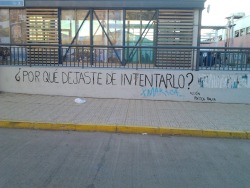 quizasnuncafuisteparami:  comer-juntos-es-de-enamorados:  moonlight-sonathaa:  c0nspiracy-against-me:  porque nunca se iba a fijar en mi. nunca!!  Jamás, yo soy nada para el.  notese el “x maraca” ÑLKLÑDKSAXD  X maraca XDDDDDD JAJAJAJAJAJAJAJAJA