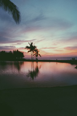 stayfr-sh:  Sunset || Taken by me