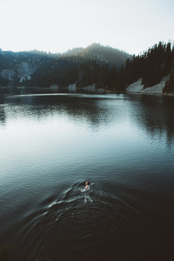 andrewtkearns:  sunset swimsandrewtkearns