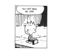 nevver:  Calvin and Hobbes 